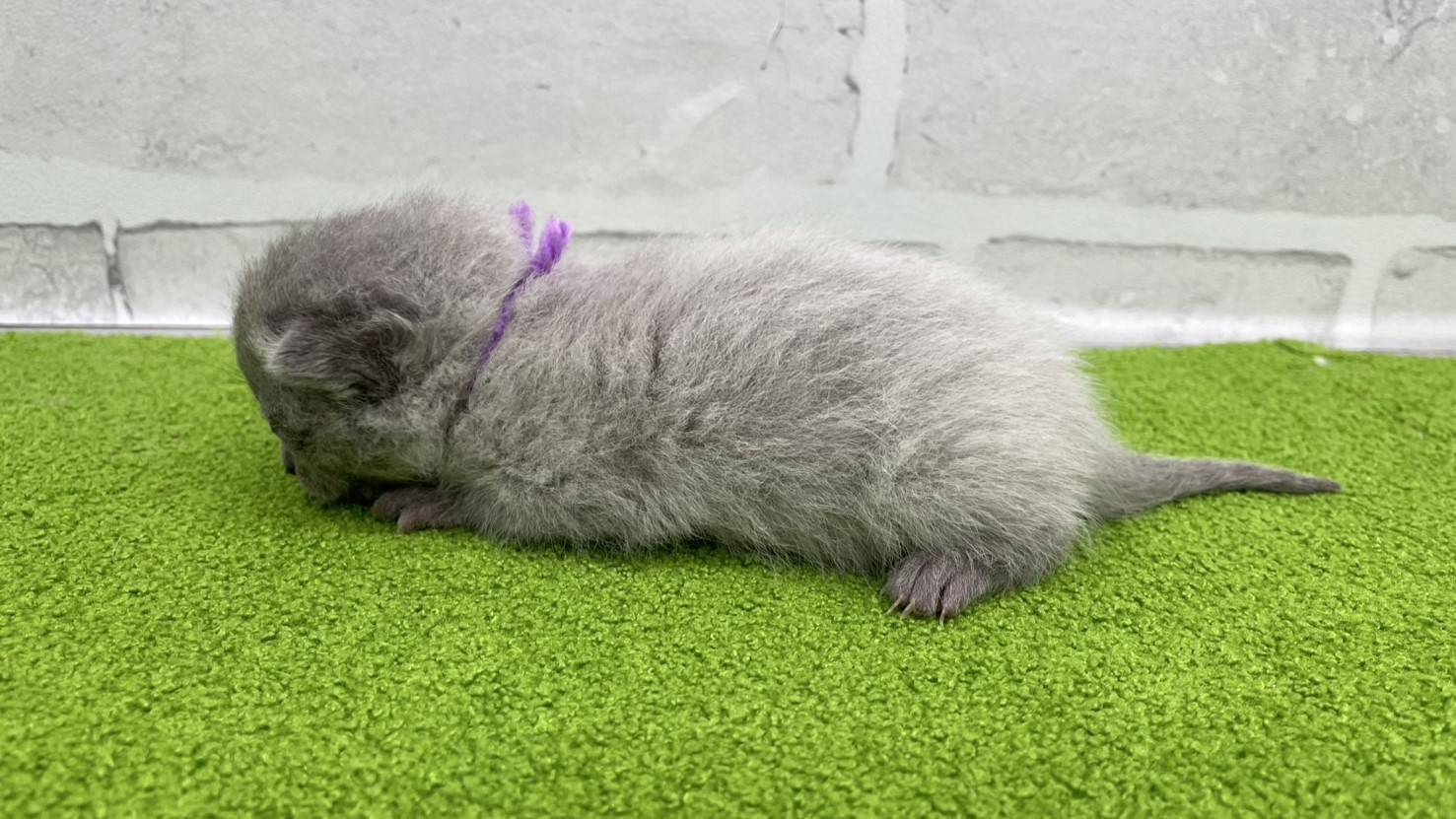 赤ちゃん写真1-2