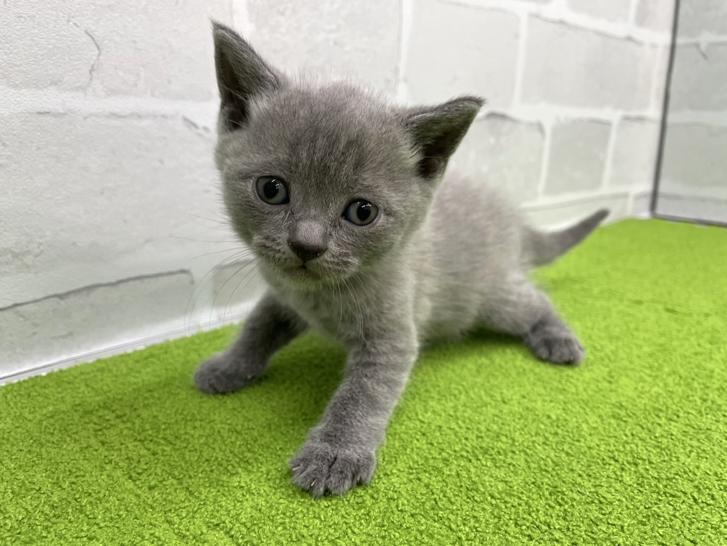 赤ちゃん写真2-1