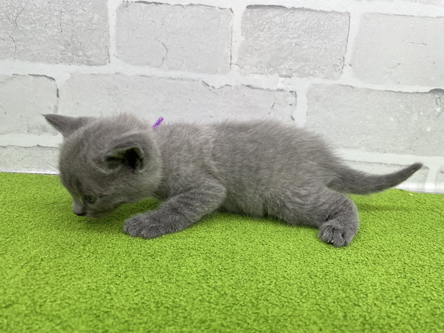 赤ちゃん写真2-2