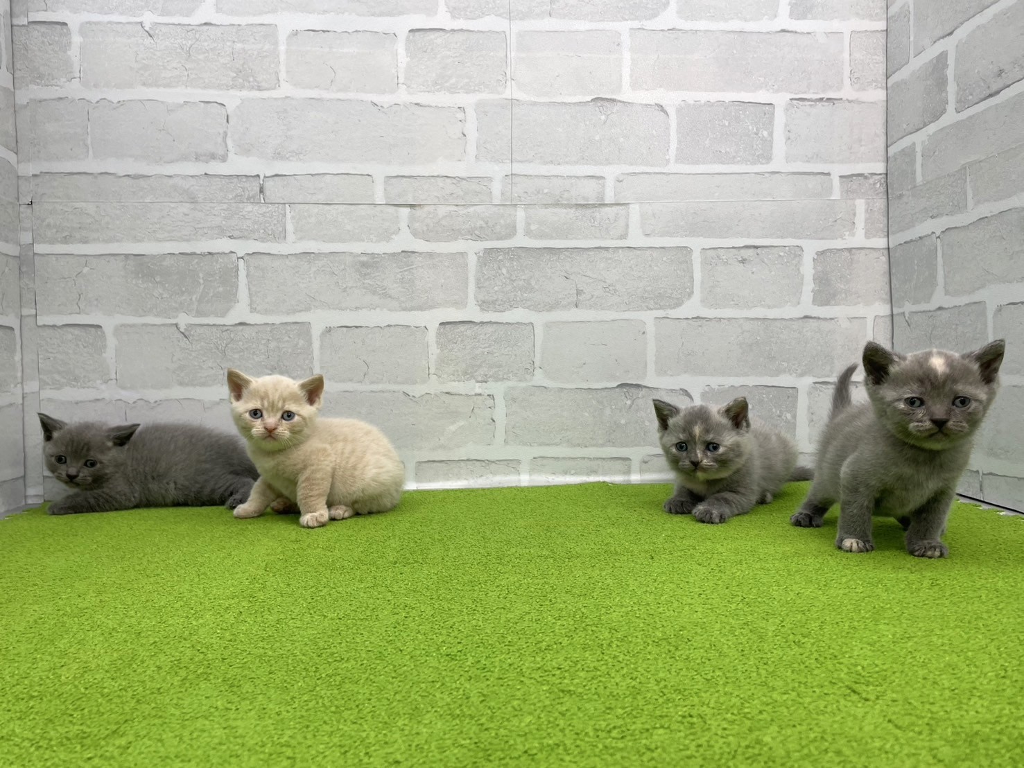 赤ちゃん写真2-3