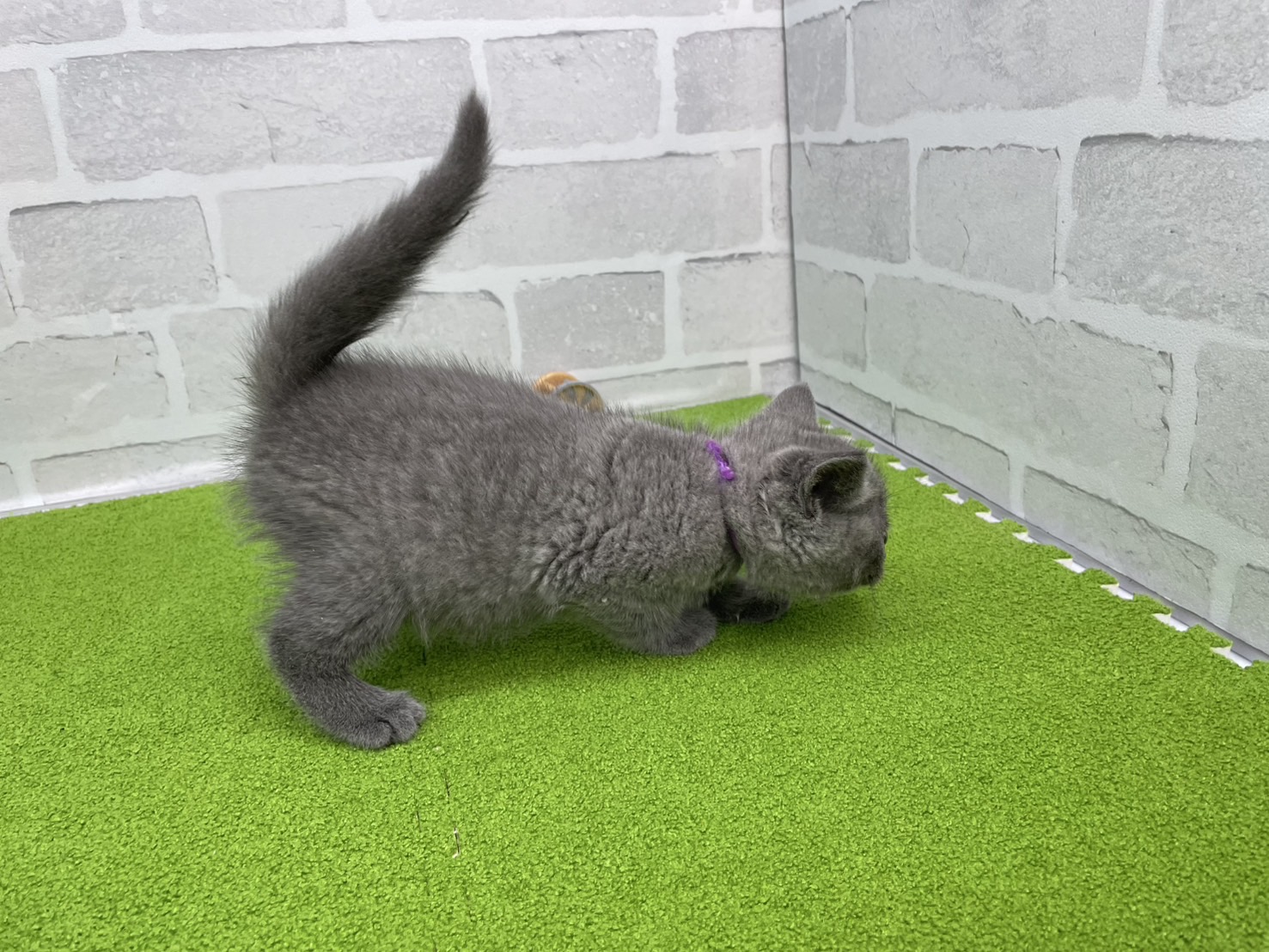 赤ちゃん写真3-2