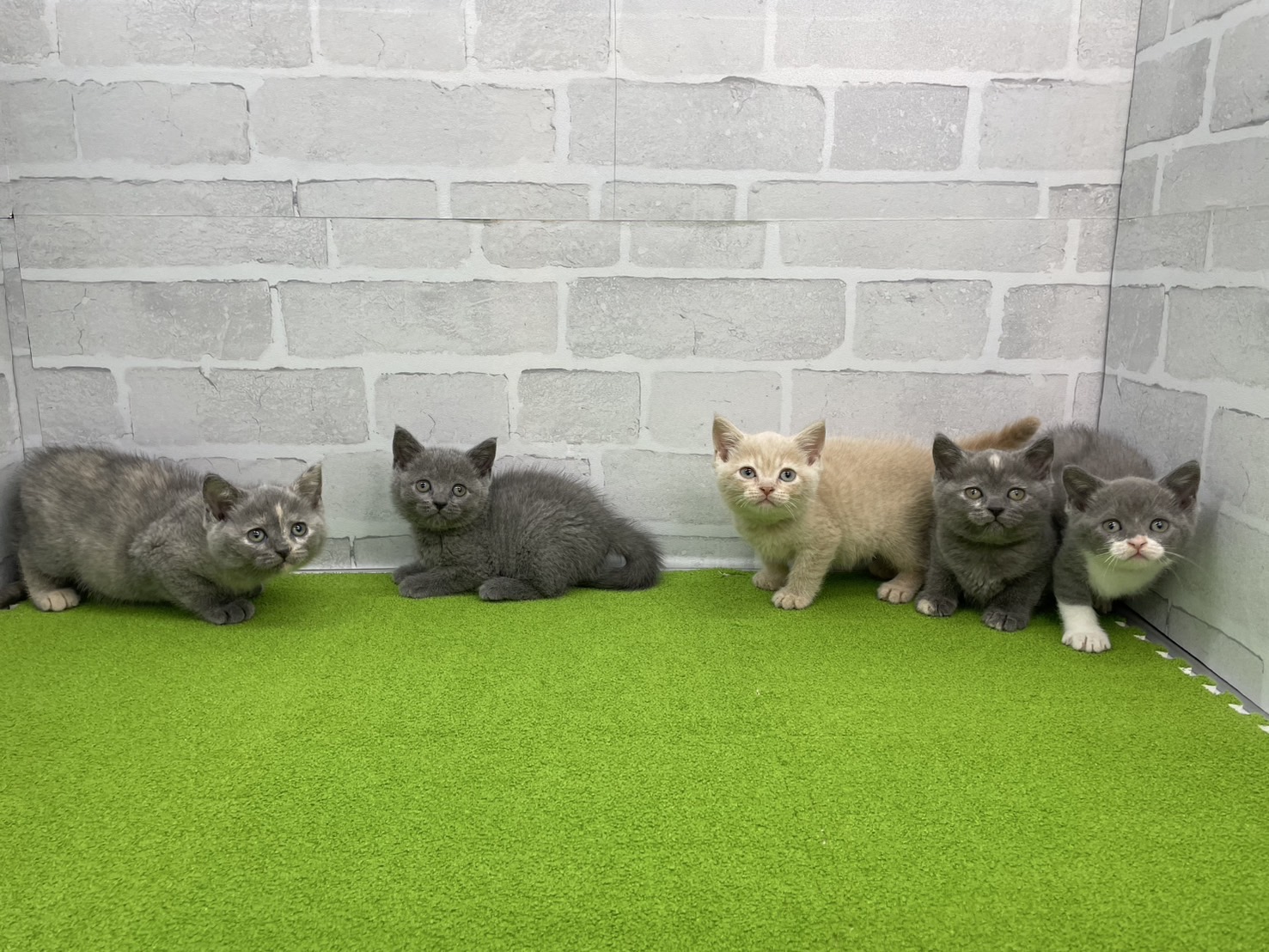 赤ちゃん写真3-3