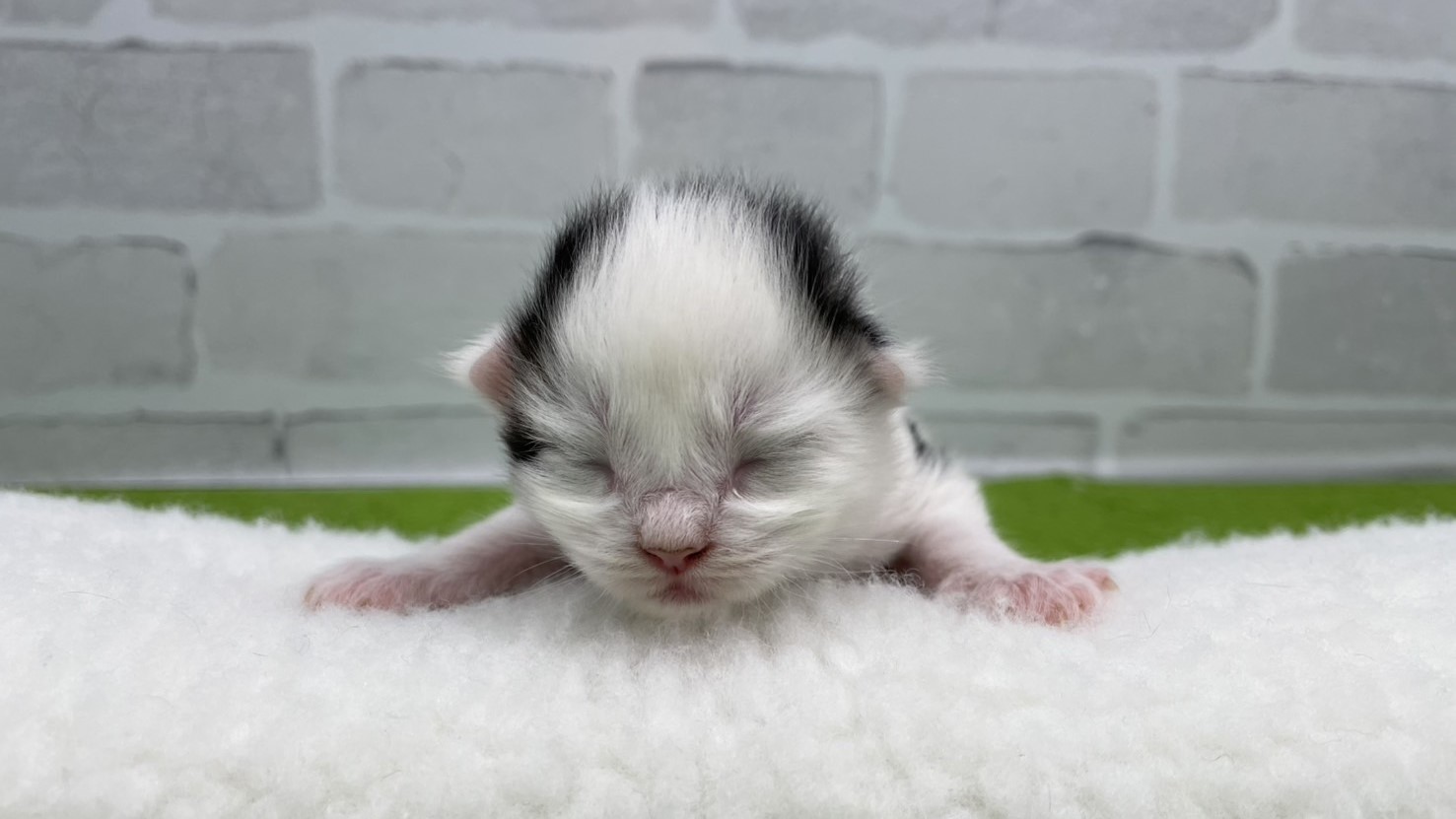 赤ちゃん写真1-1