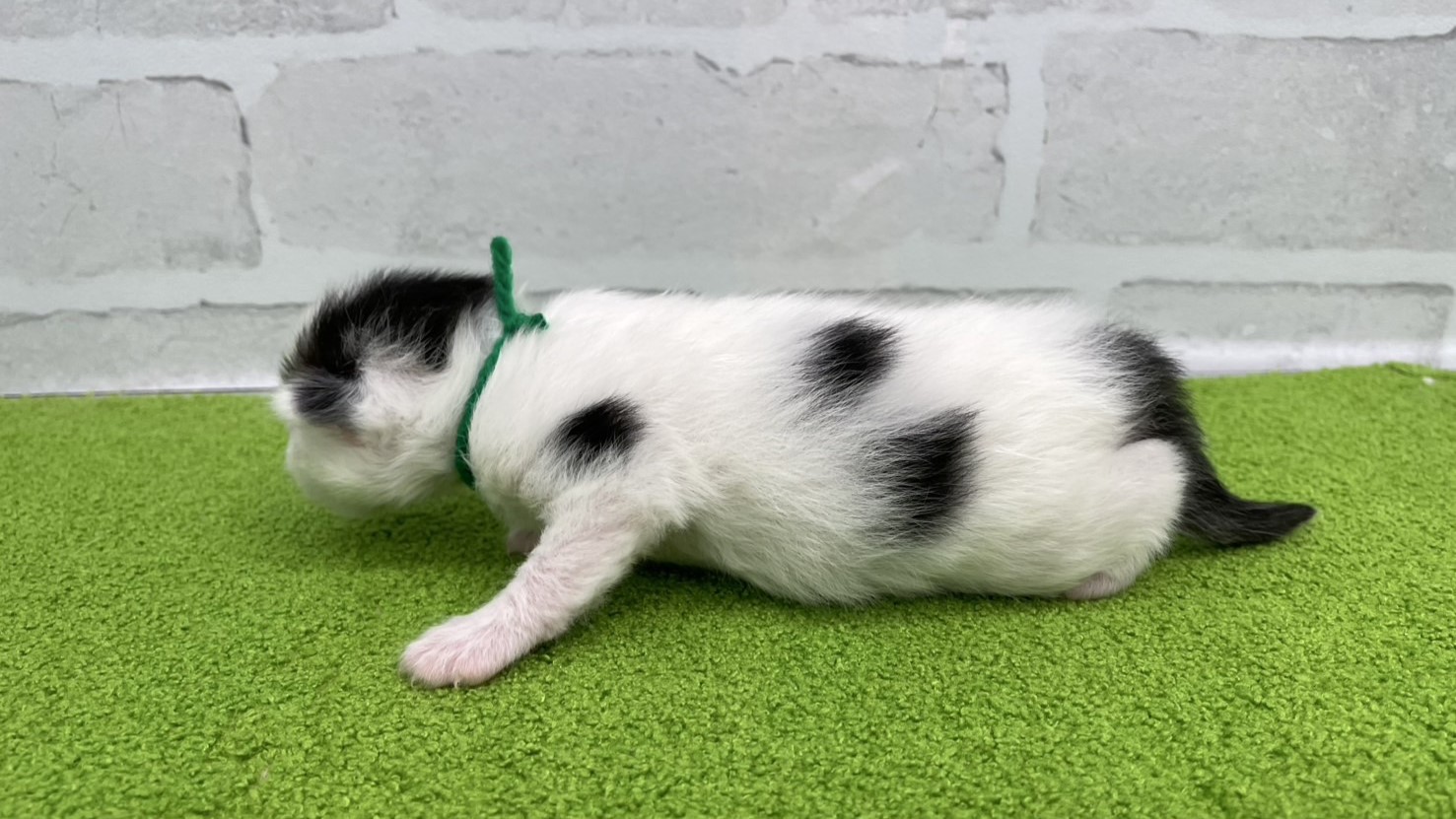 赤ちゃん写真1-2