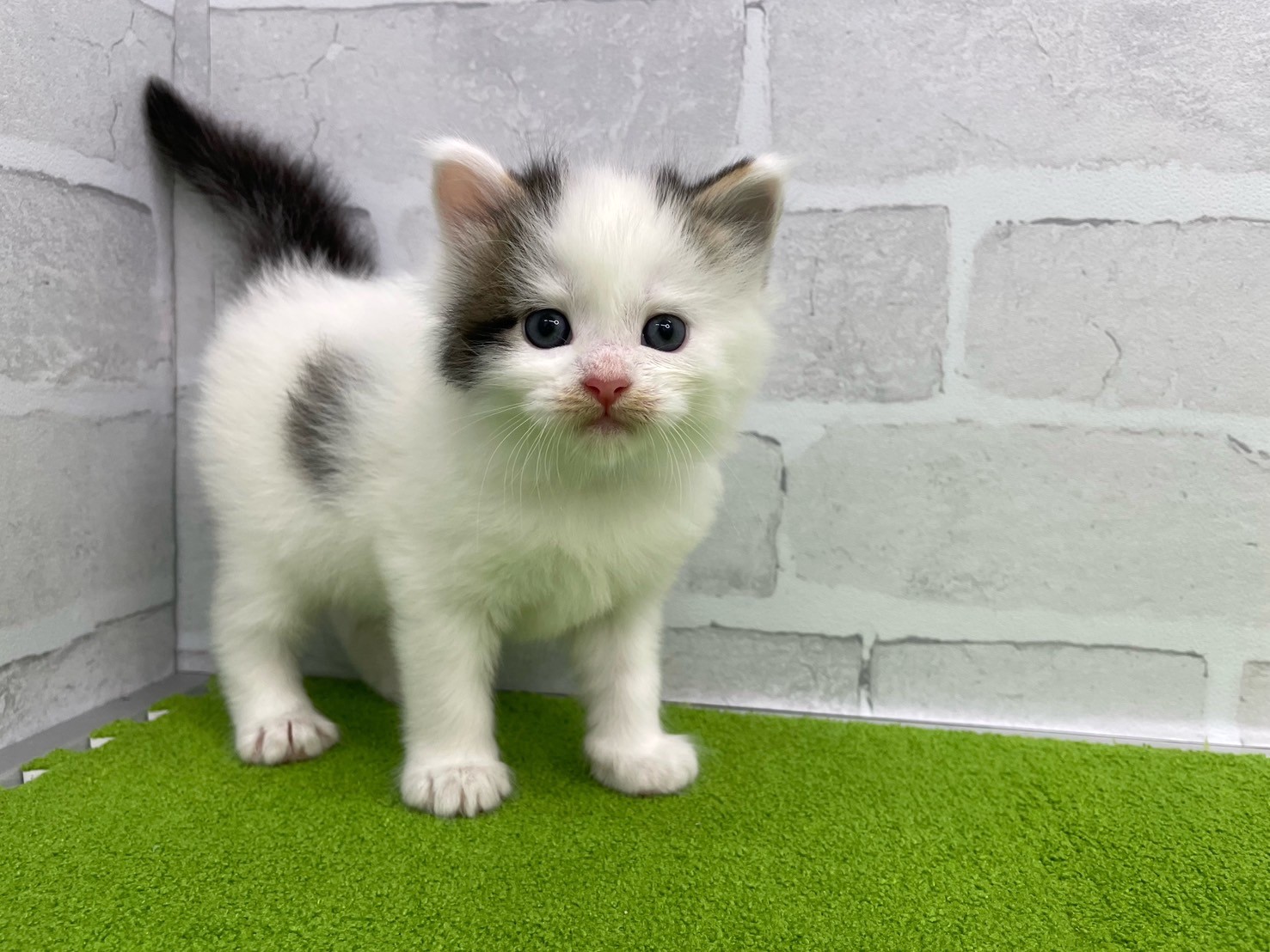 赤ちゃん写真2-1