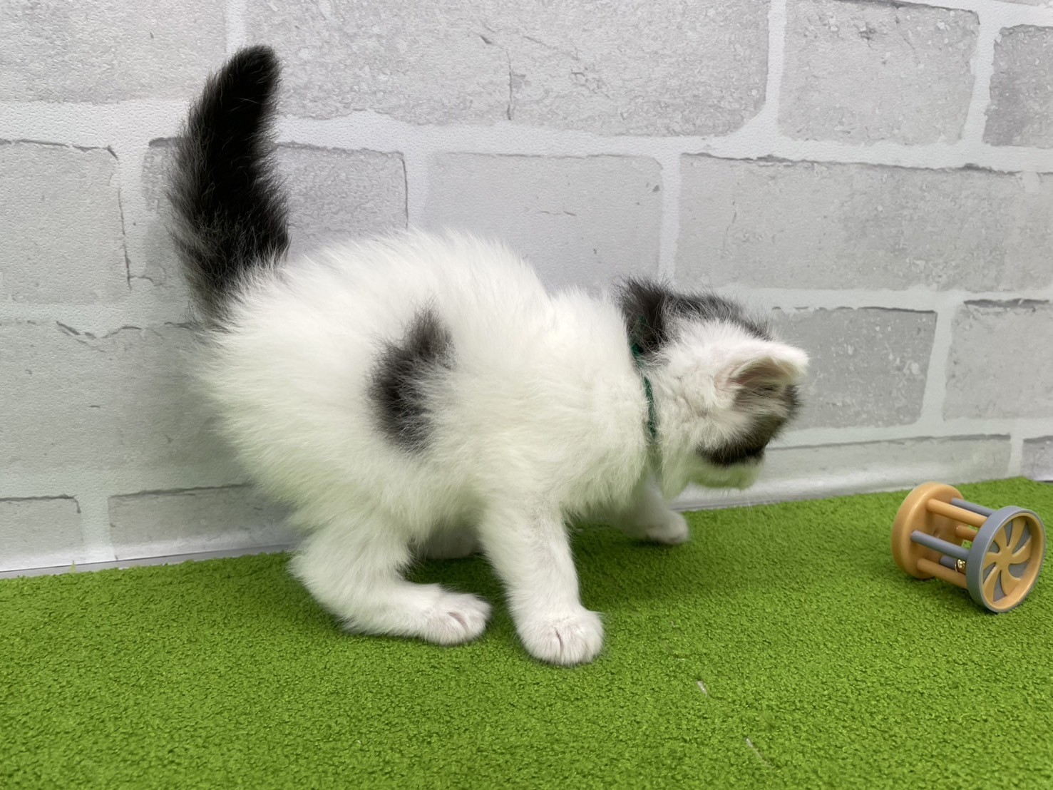 赤ちゃん写真2-2