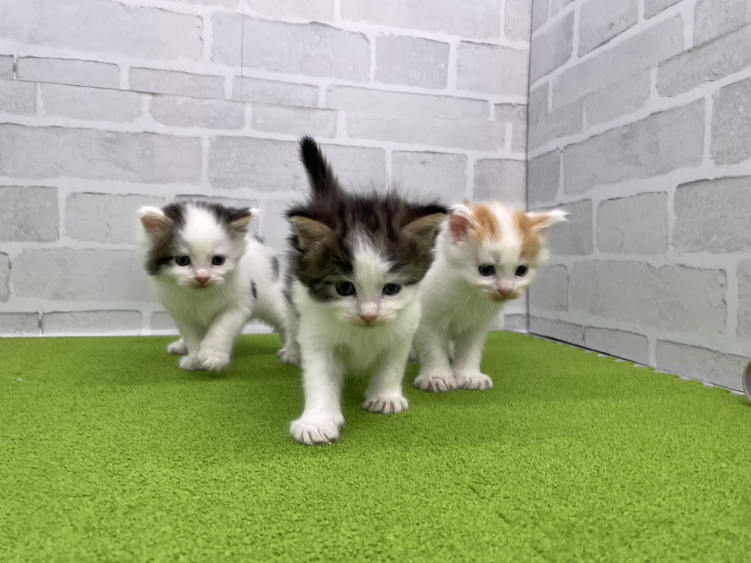 赤ちゃん写真2-3