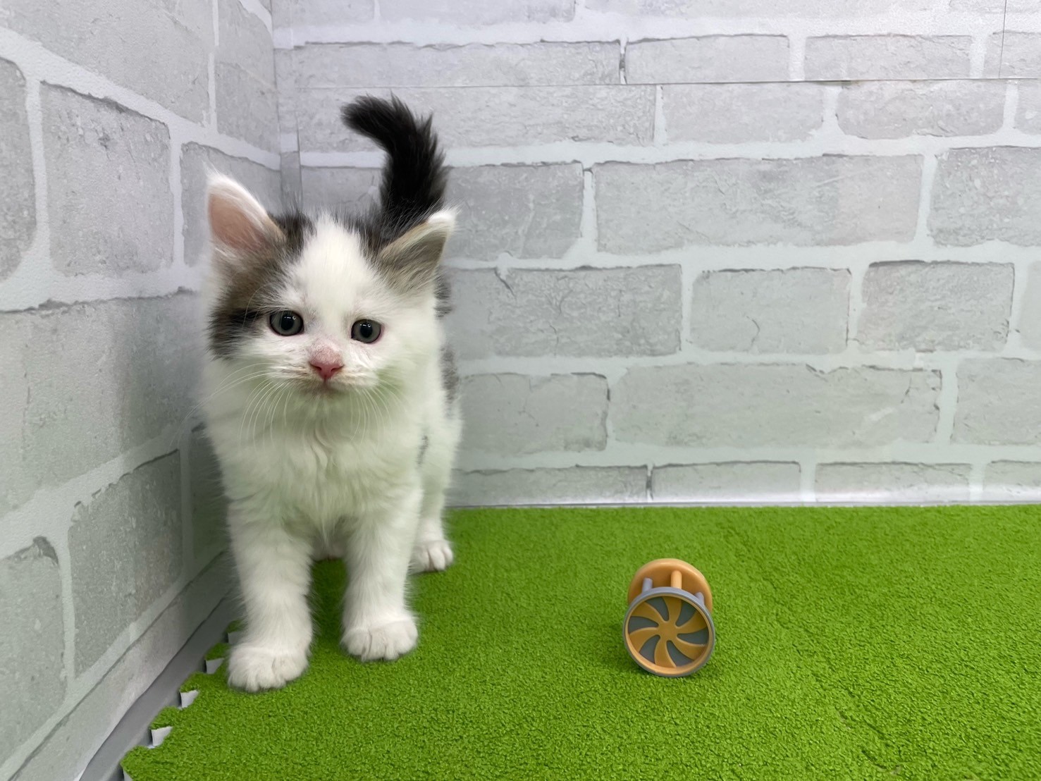 赤ちゃん写真3-1