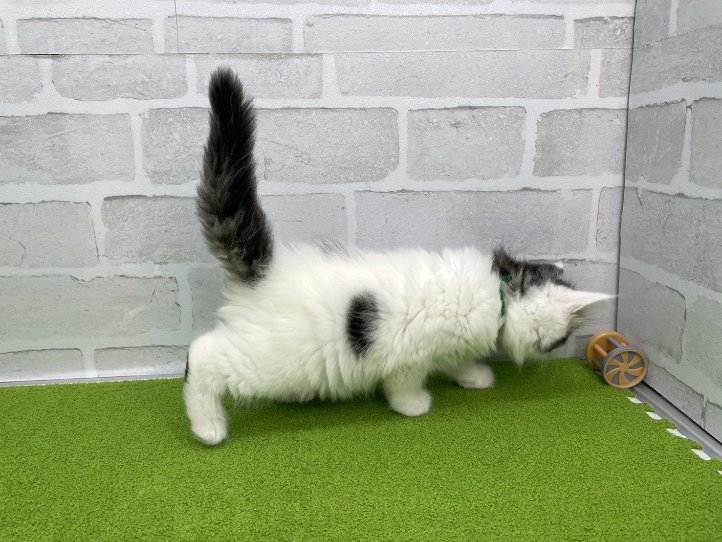 赤ちゃん写真3-2