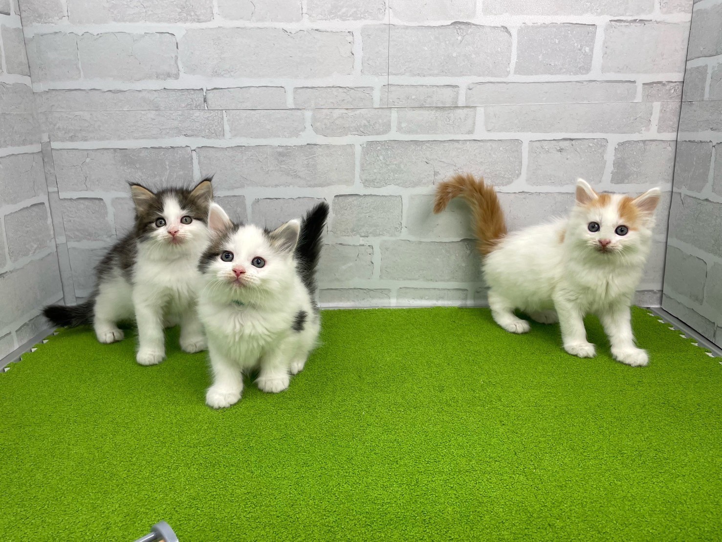 赤ちゃん写真3-3