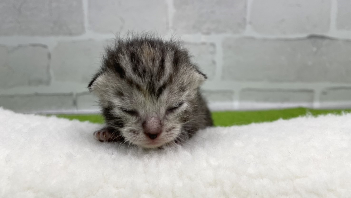 赤ちゃん写真1-1