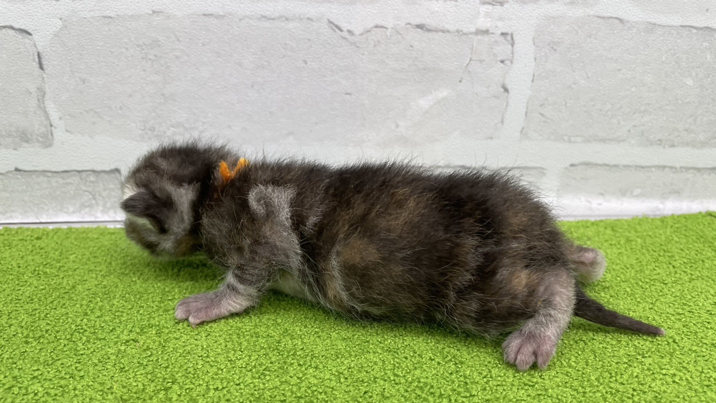 赤ちゃん写真1-2