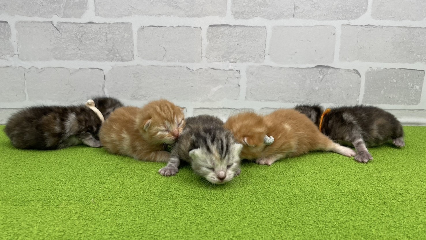 赤ちゃん写真1-3