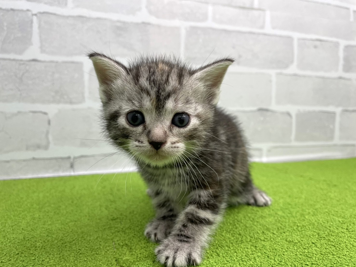 赤ちゃん写真2-1