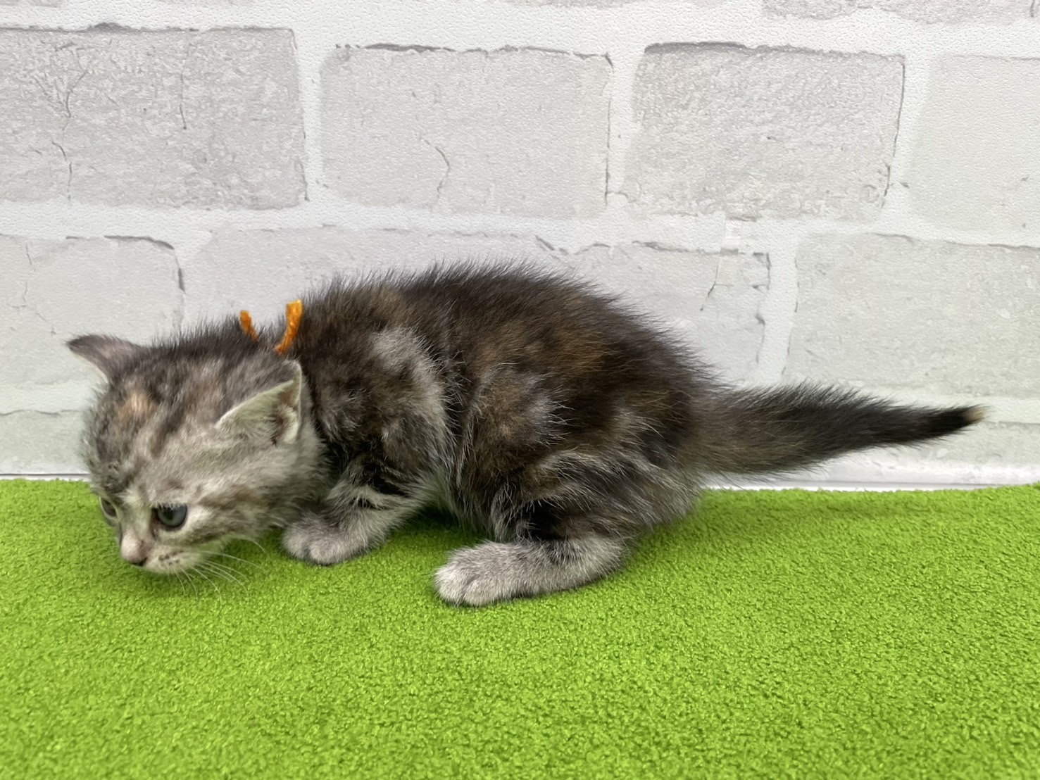 赤ちゃん写真2-2