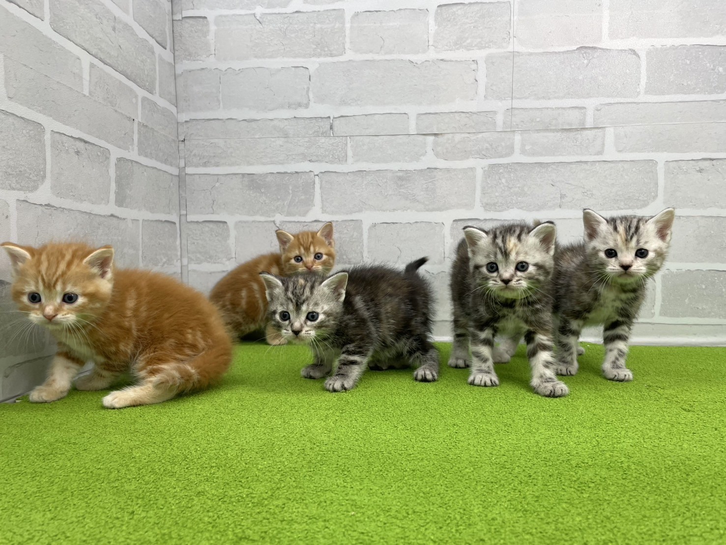 赤ちゃん写真2-3