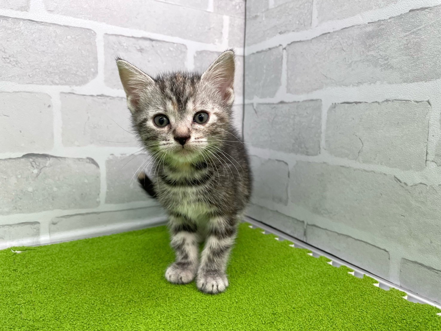 赤ちゃん写真3-1