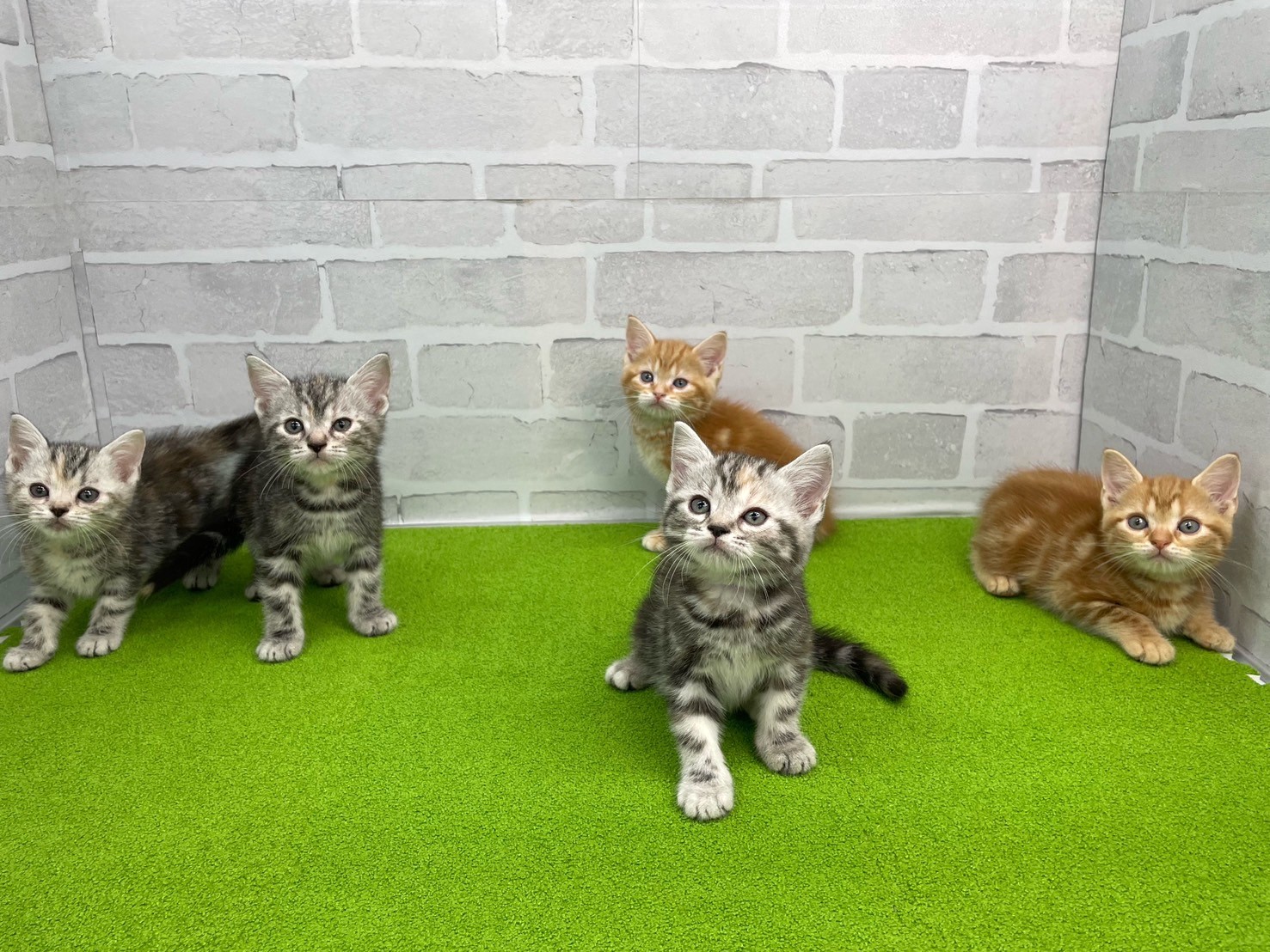 赤ちゃん写真3-3