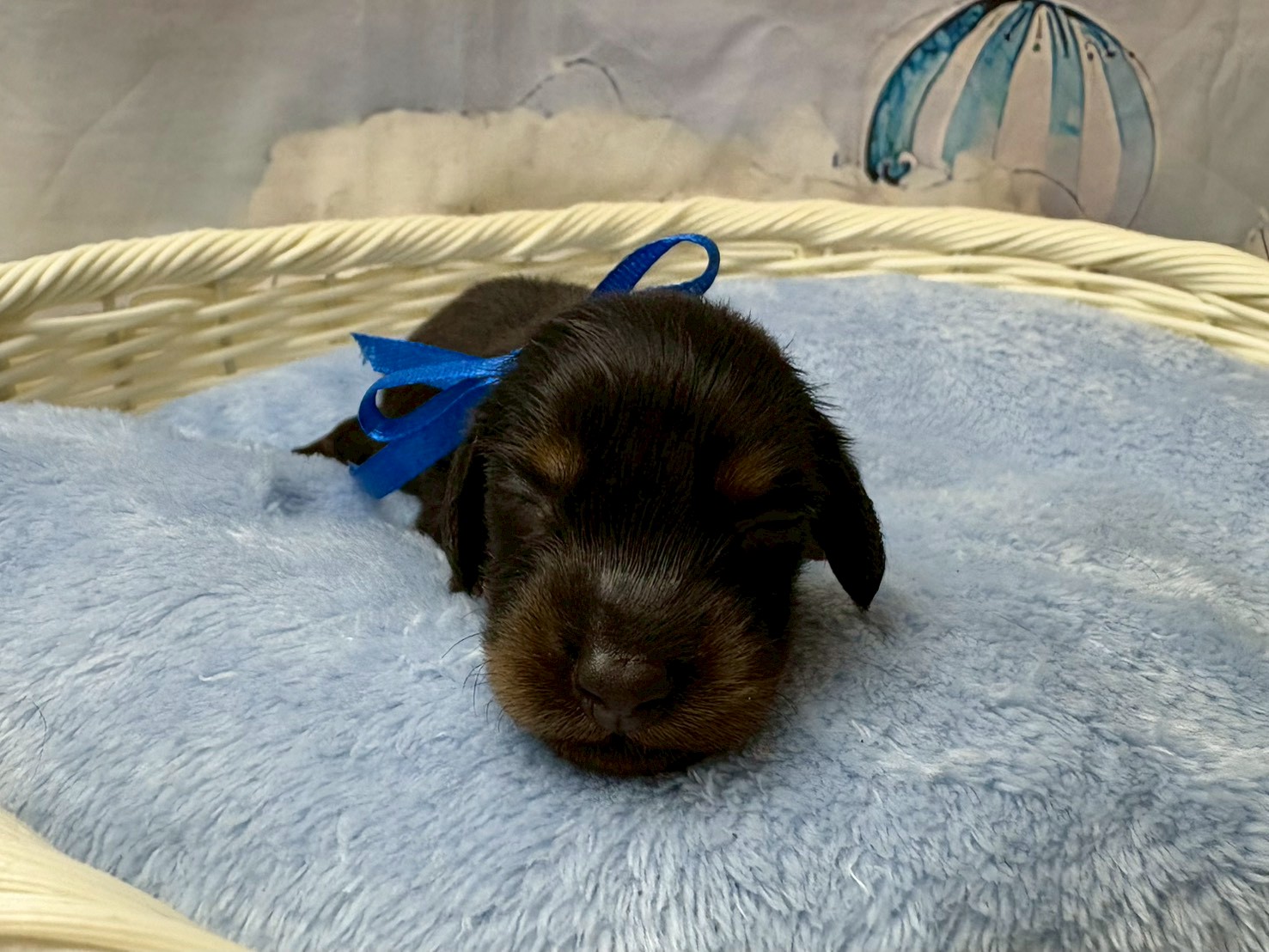 赤ちゃん写真1-1