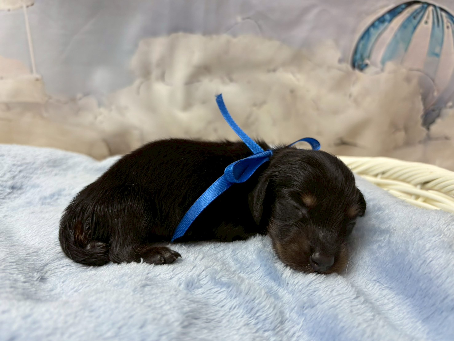 赤ちゃん写真1-2