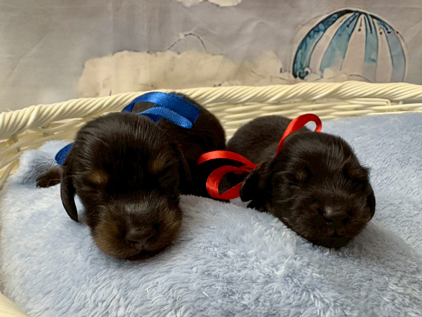 赤ちゃん写真1-3