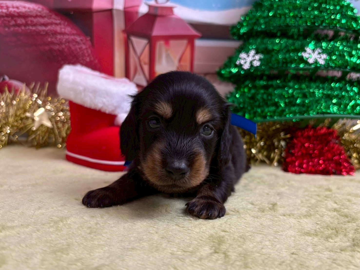 赤ちゃん写真2-1