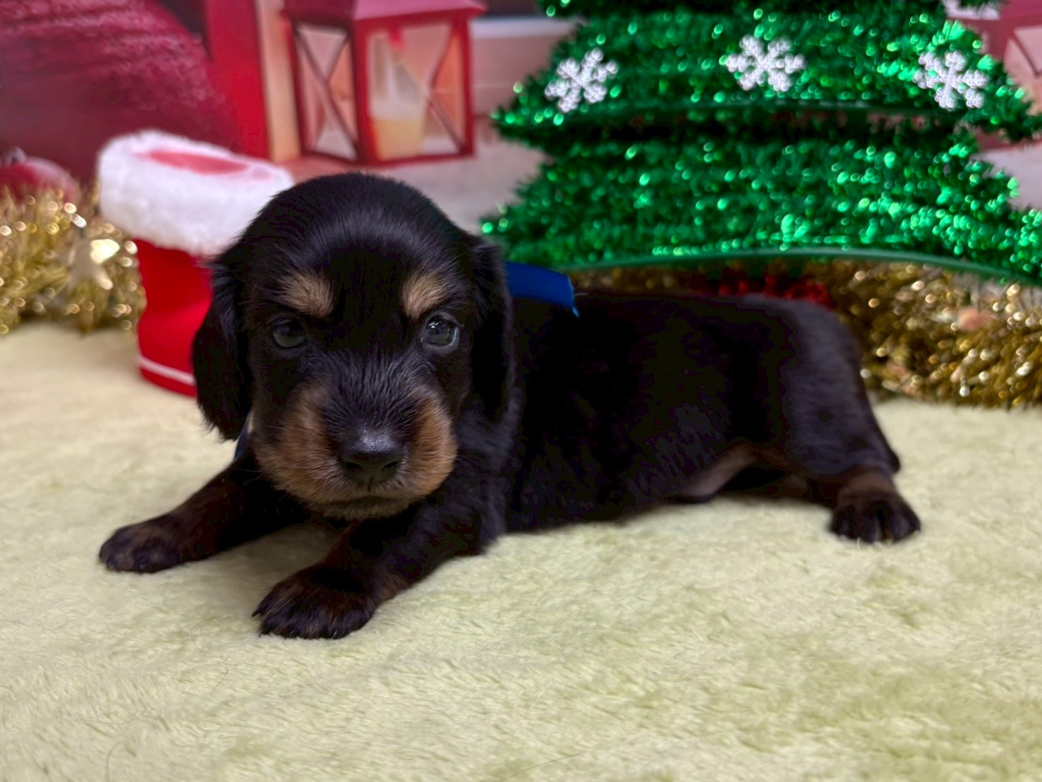 赤ちゃん写真2-2