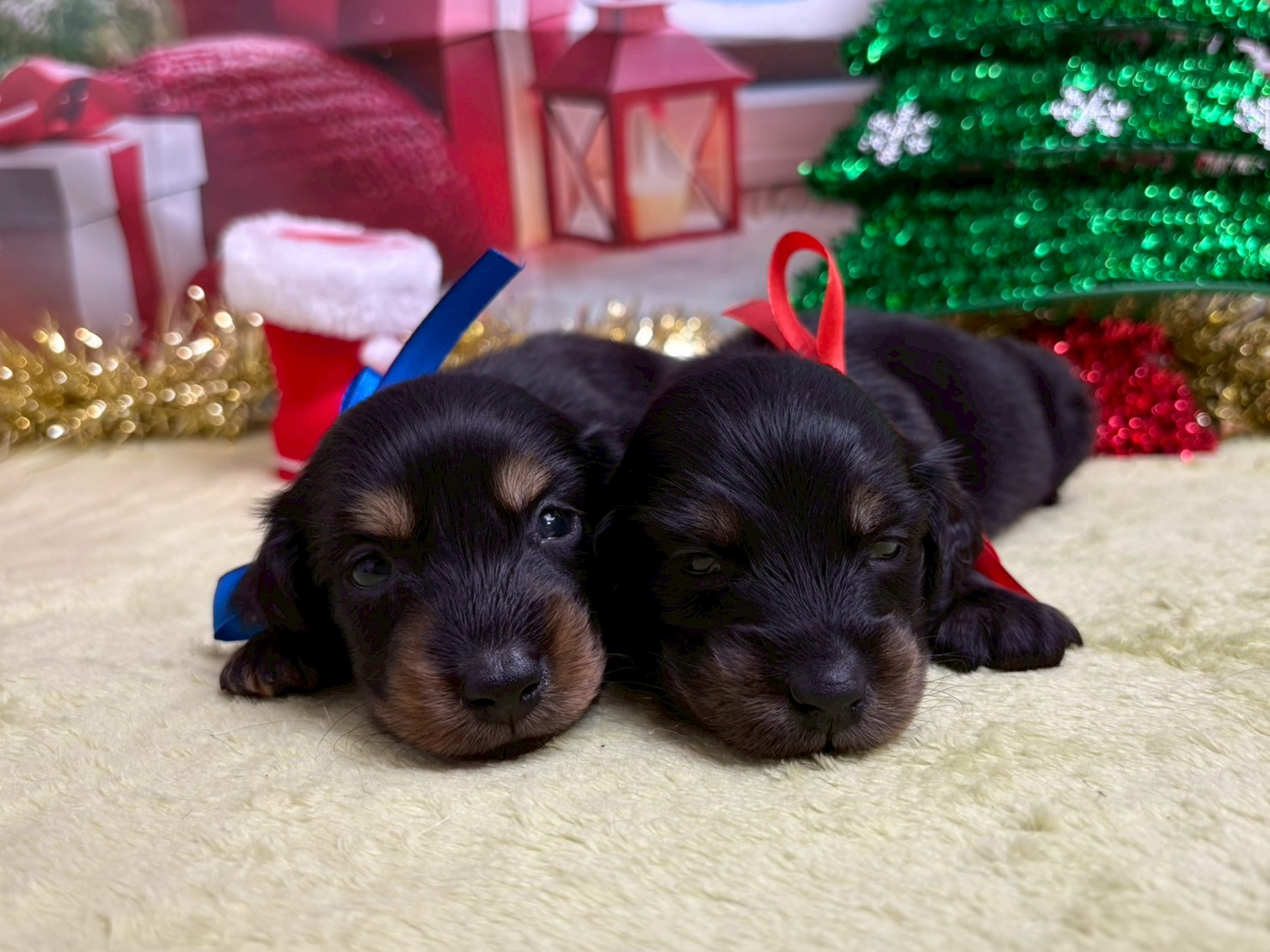 赤ちゃん写真2-3