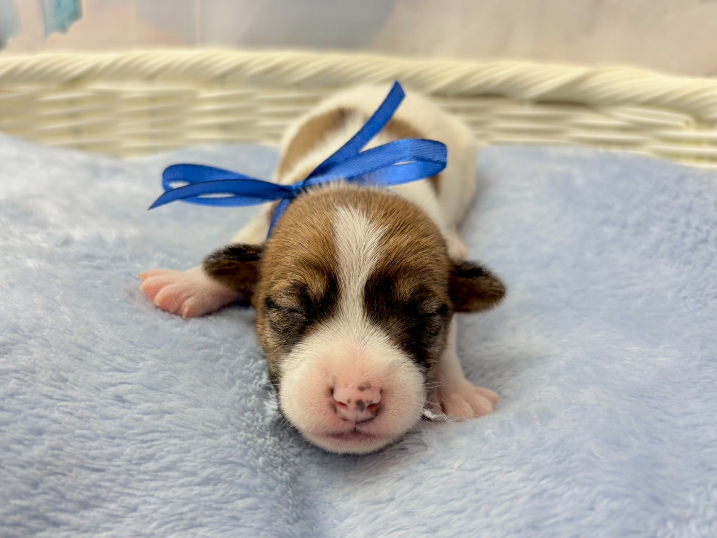 赤ちゃん写真1-1