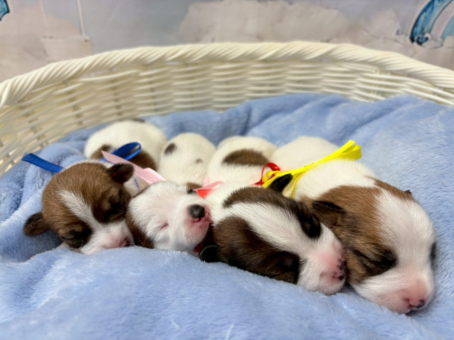 赤ちゃん写真1-3