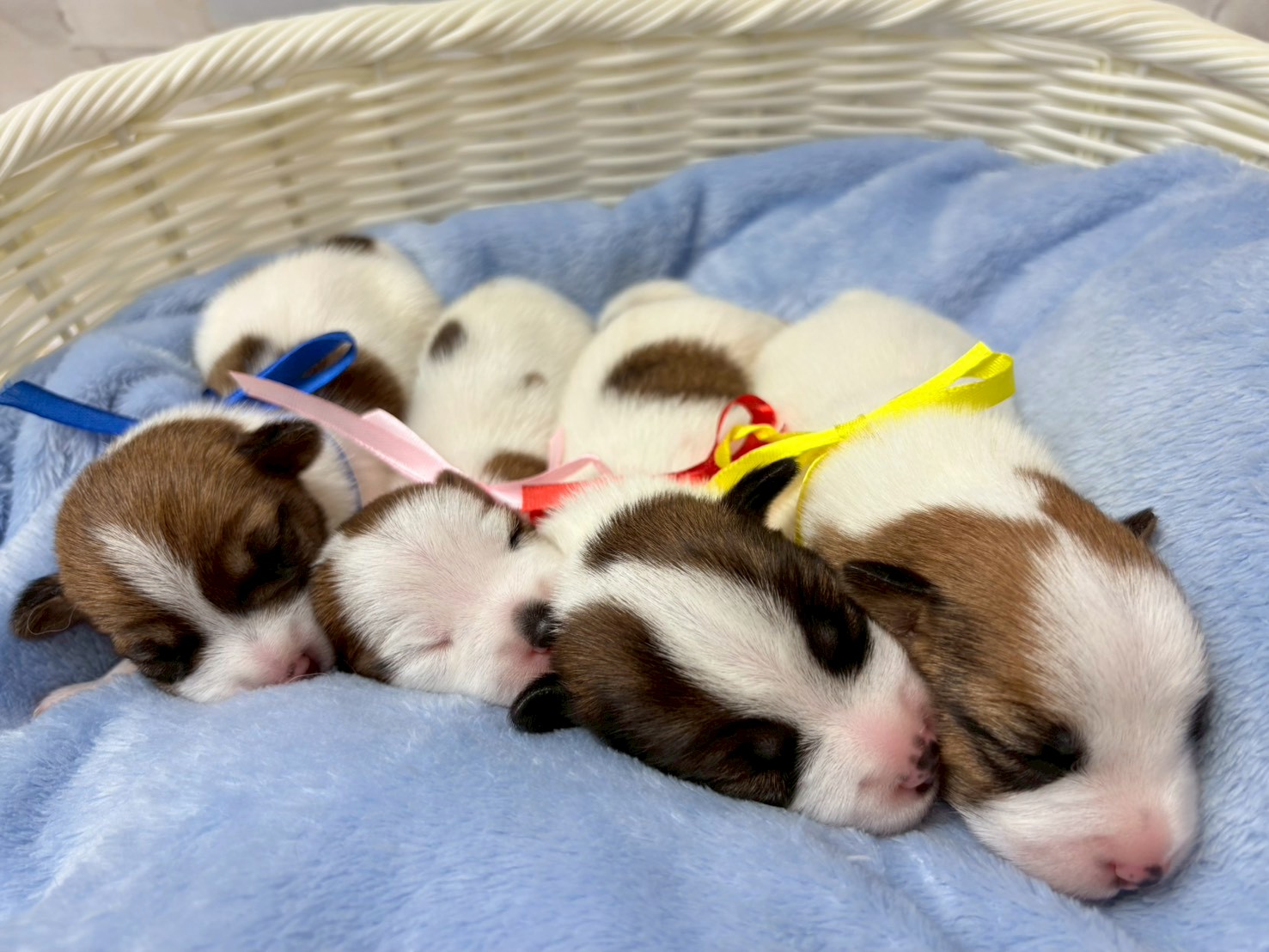 赤ちゃん写真1-3