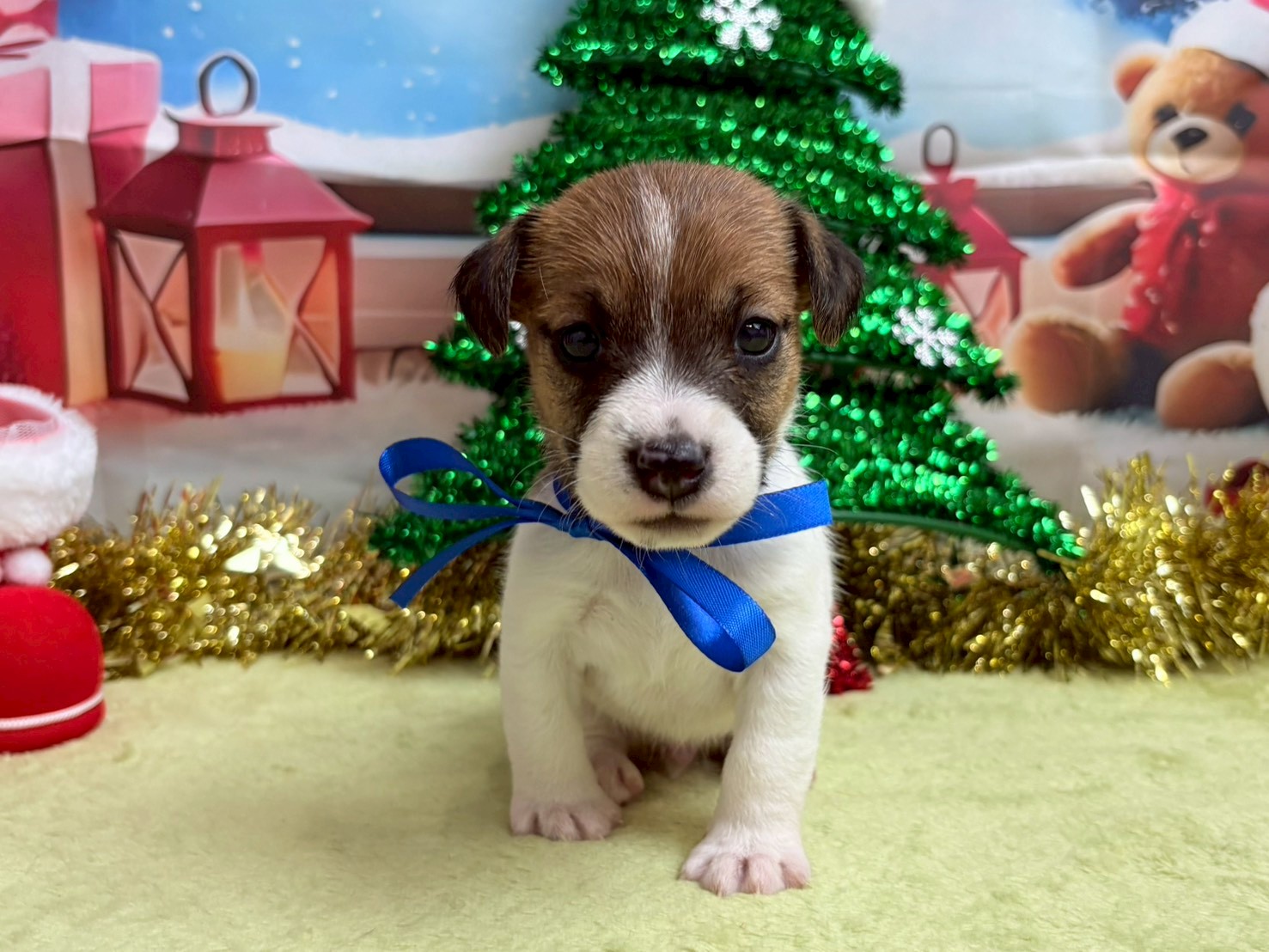 赤ちゃん写真2-1