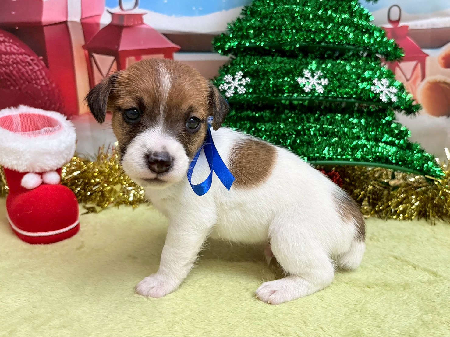 赤ちゃん写真2-2