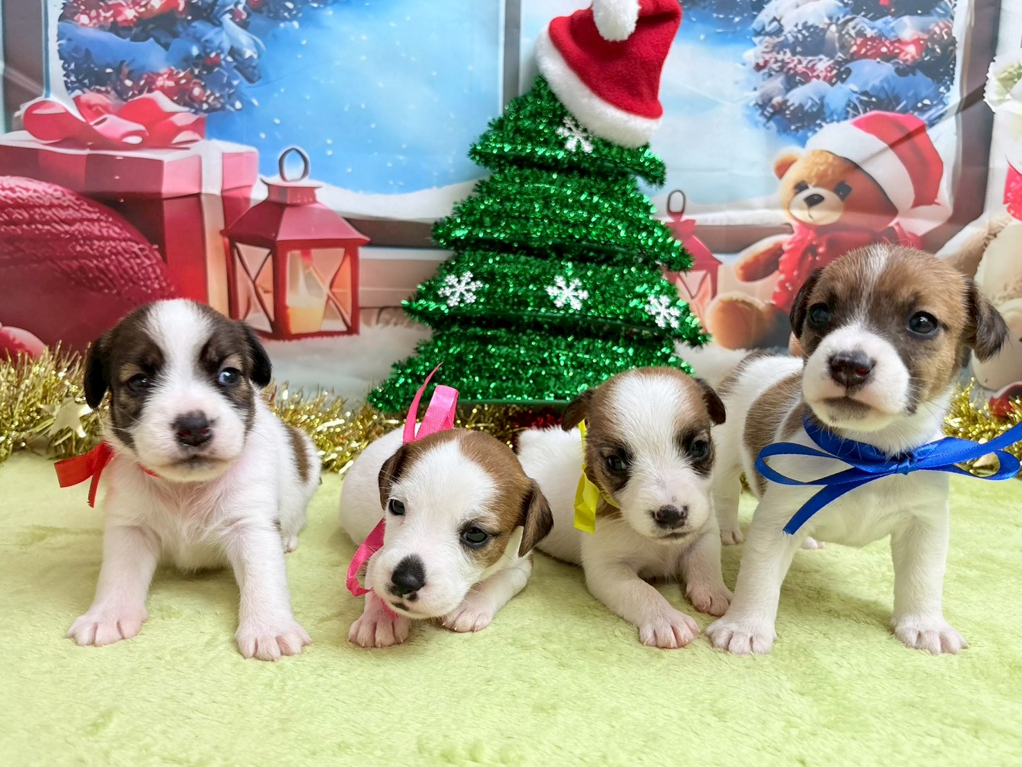 赤ちゃん写真2-3