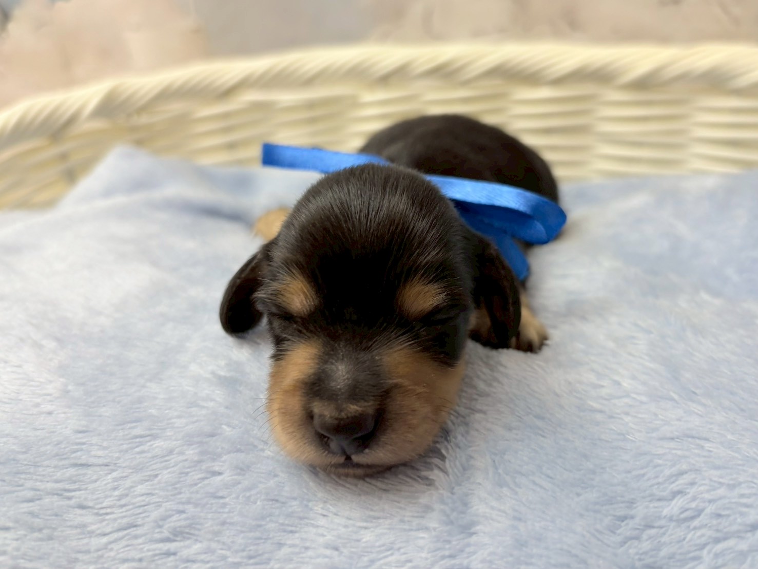 赤ちゃん写真1-1