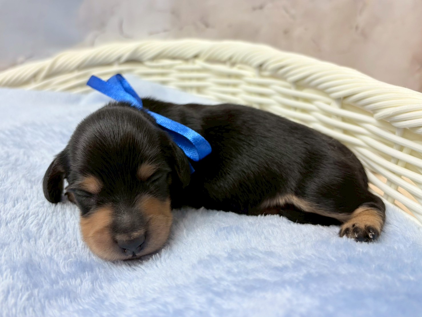 赤ちゃん写真1-2