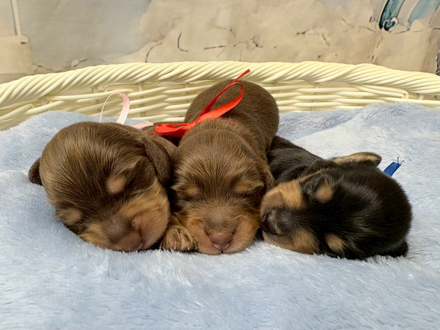 赤ちゃん写真1-3