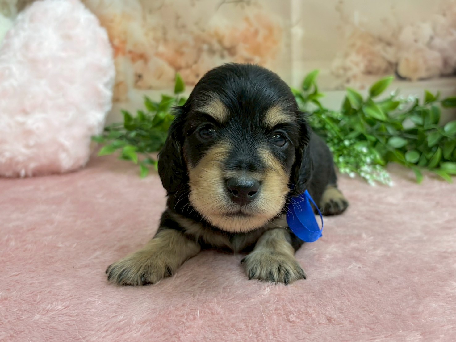 赤ちゃん写真2-1