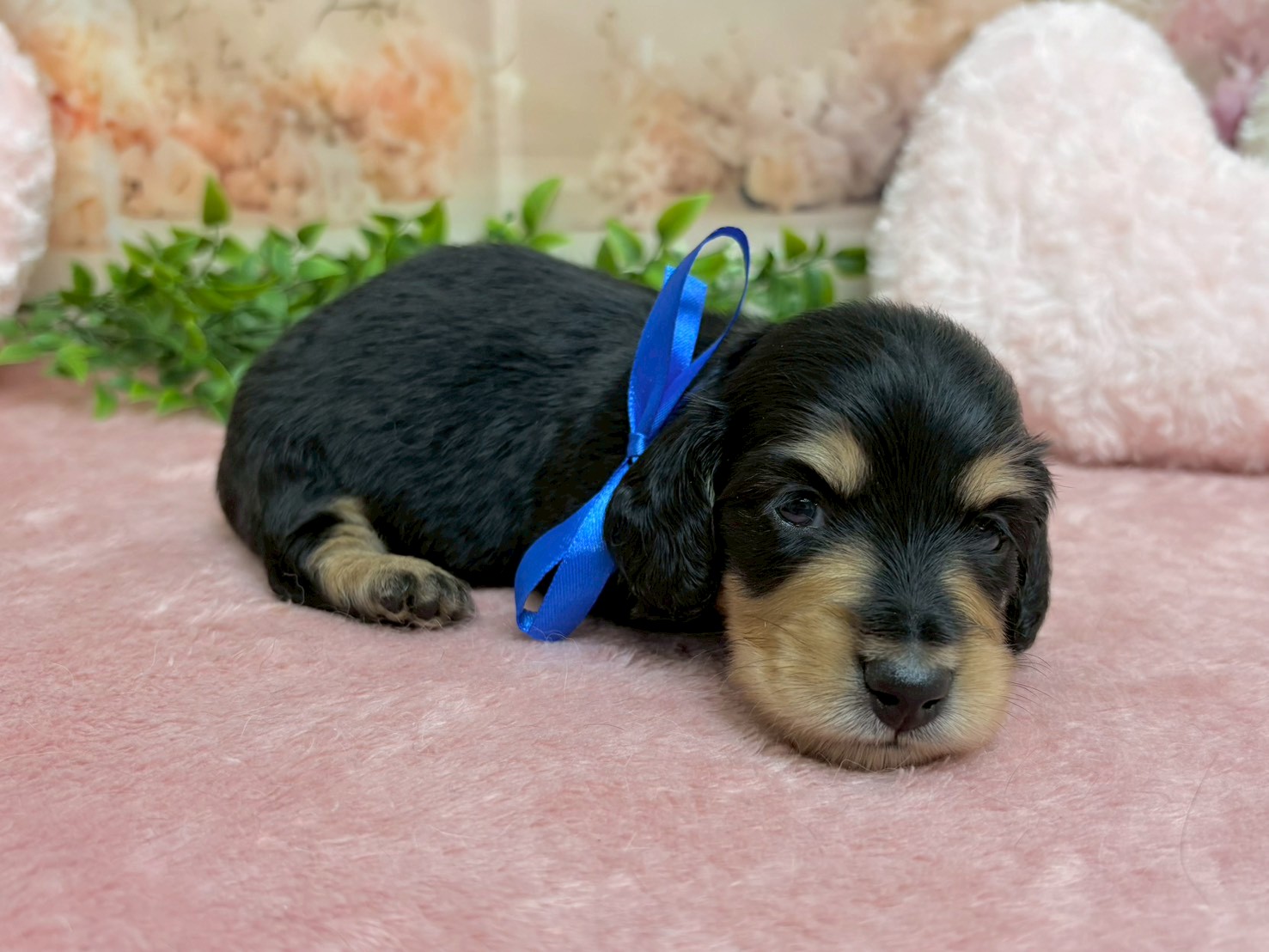 赤ちゃん写真2-2