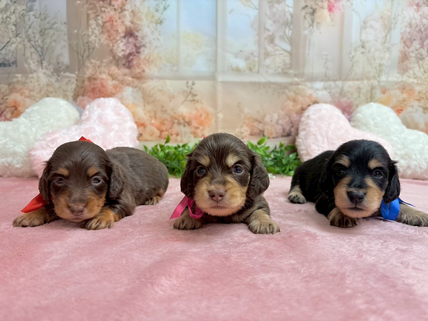 赤ちゃん写真2-3