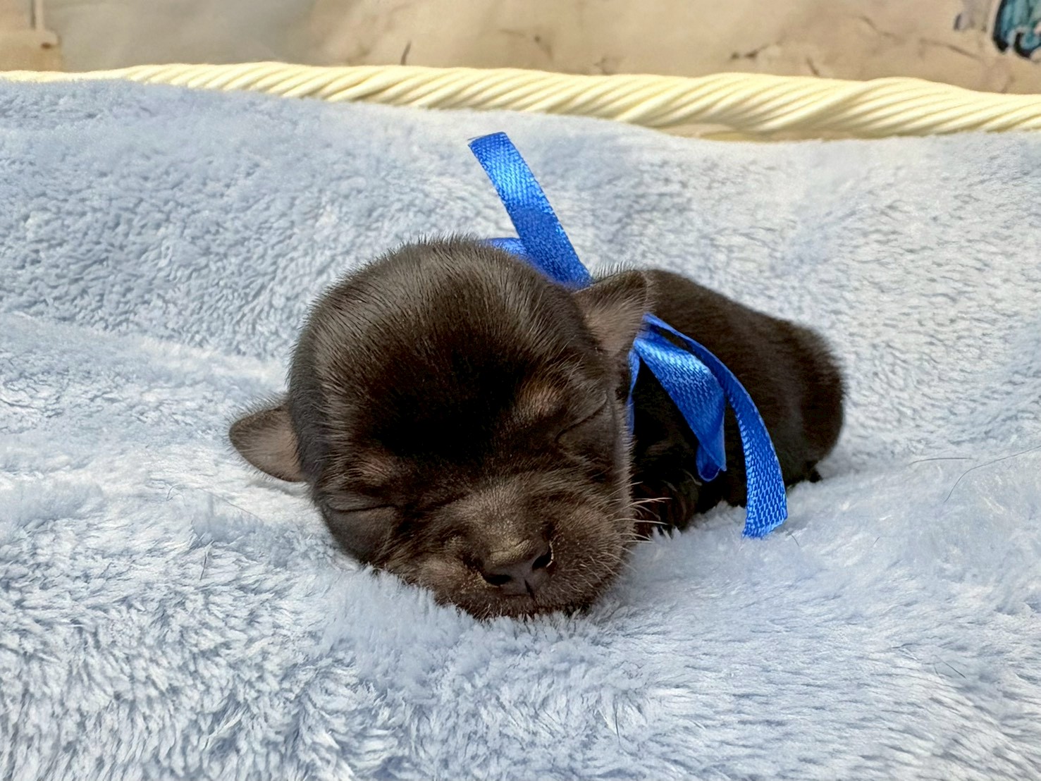 赤ちゃん写真1-1