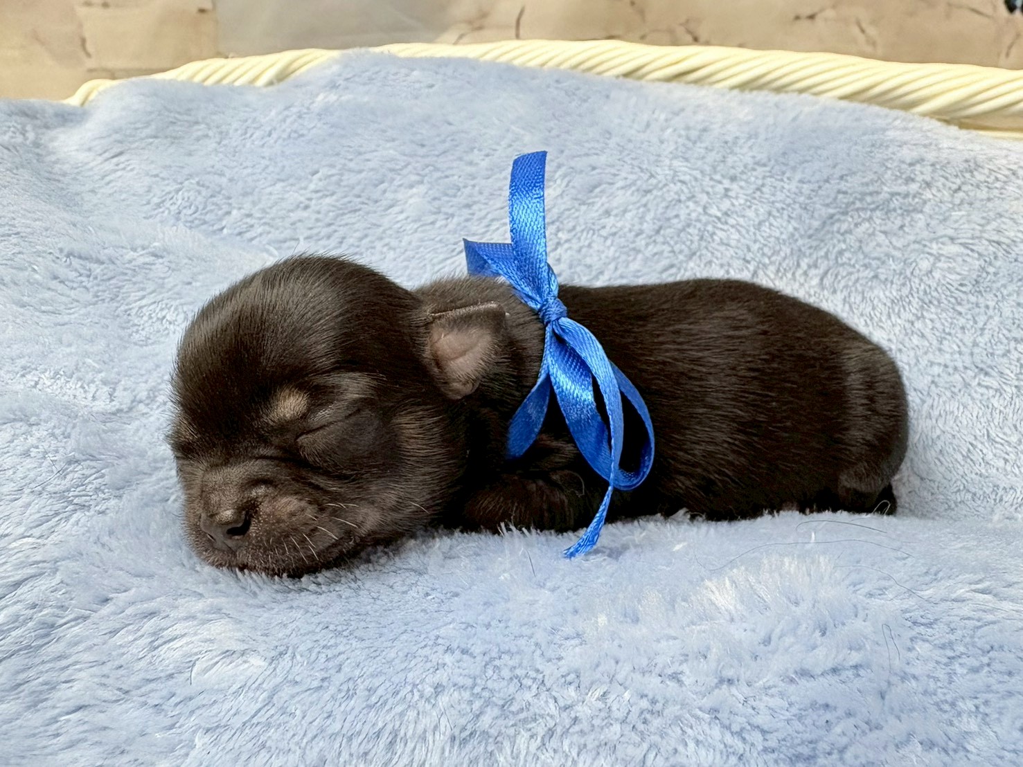 赤ちゃん写真1-2