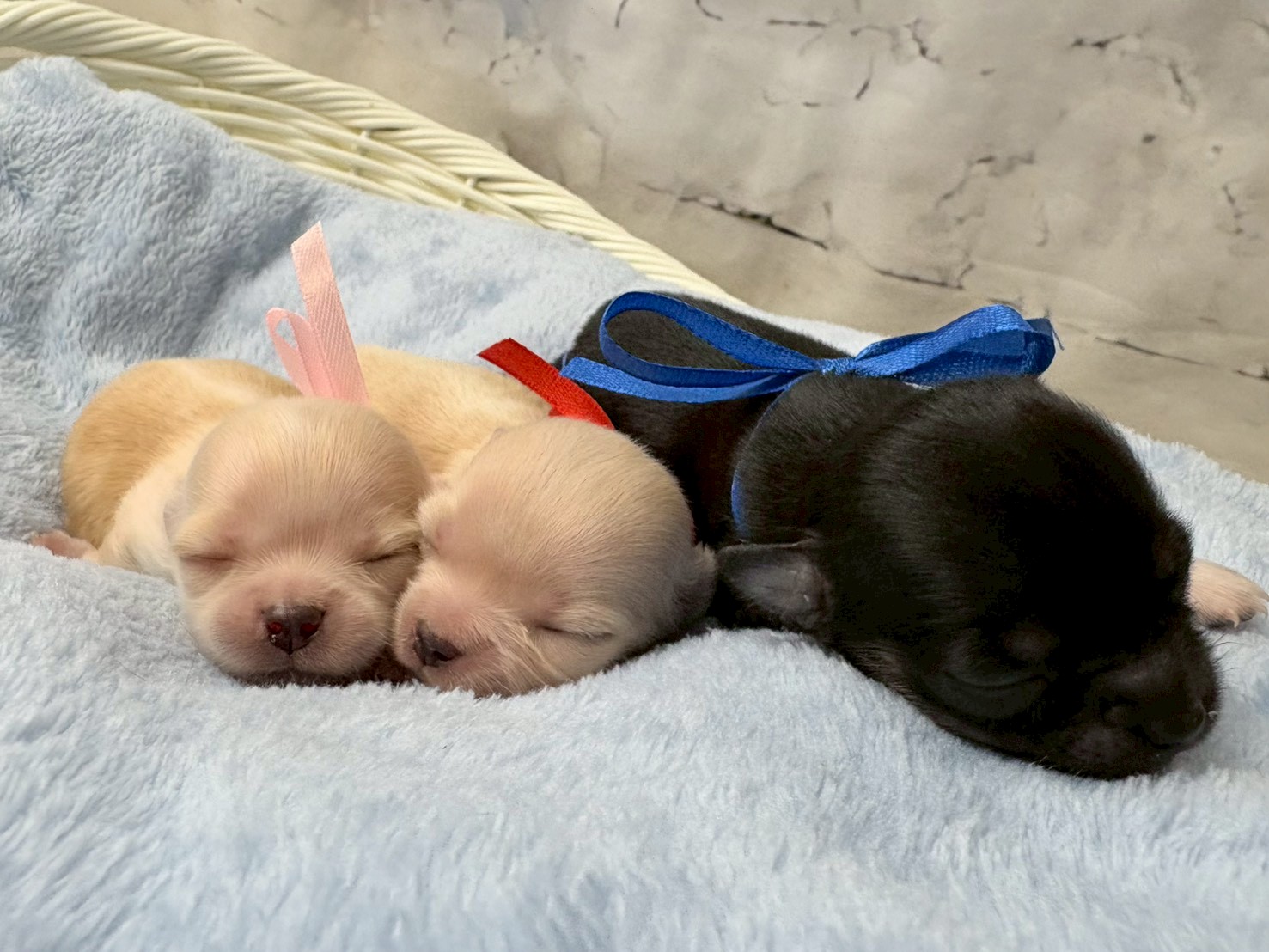 赤ちゃん写真1-3