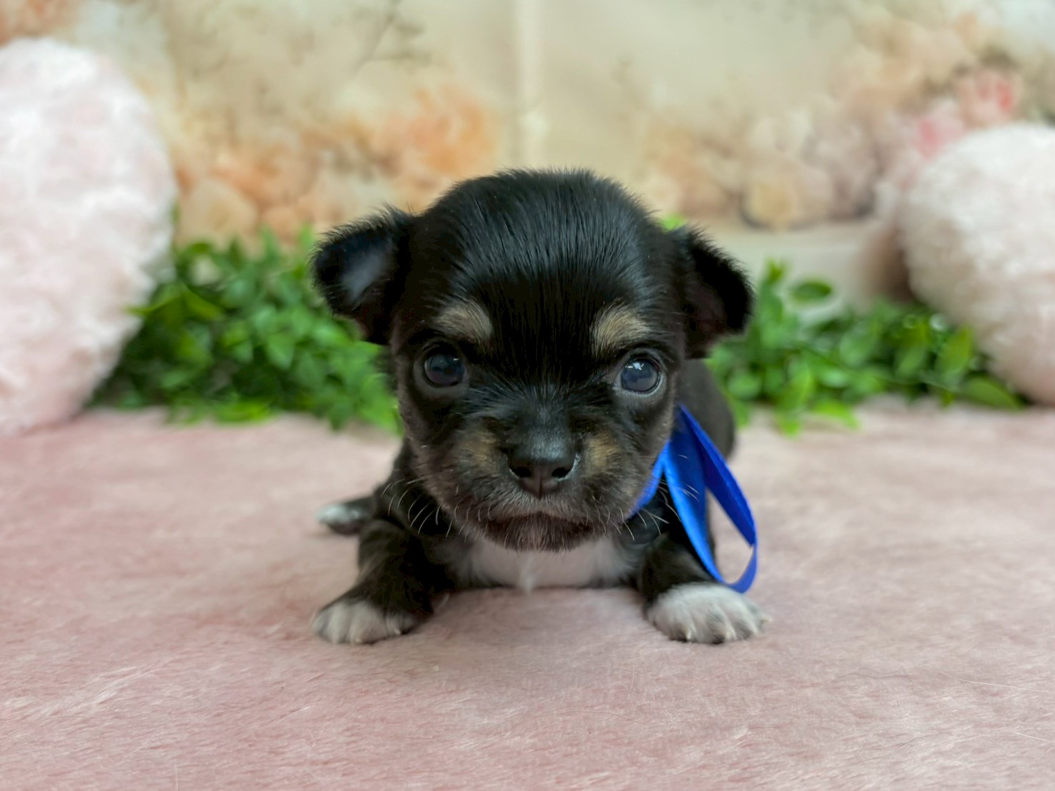 赤ちゃん写真2-1