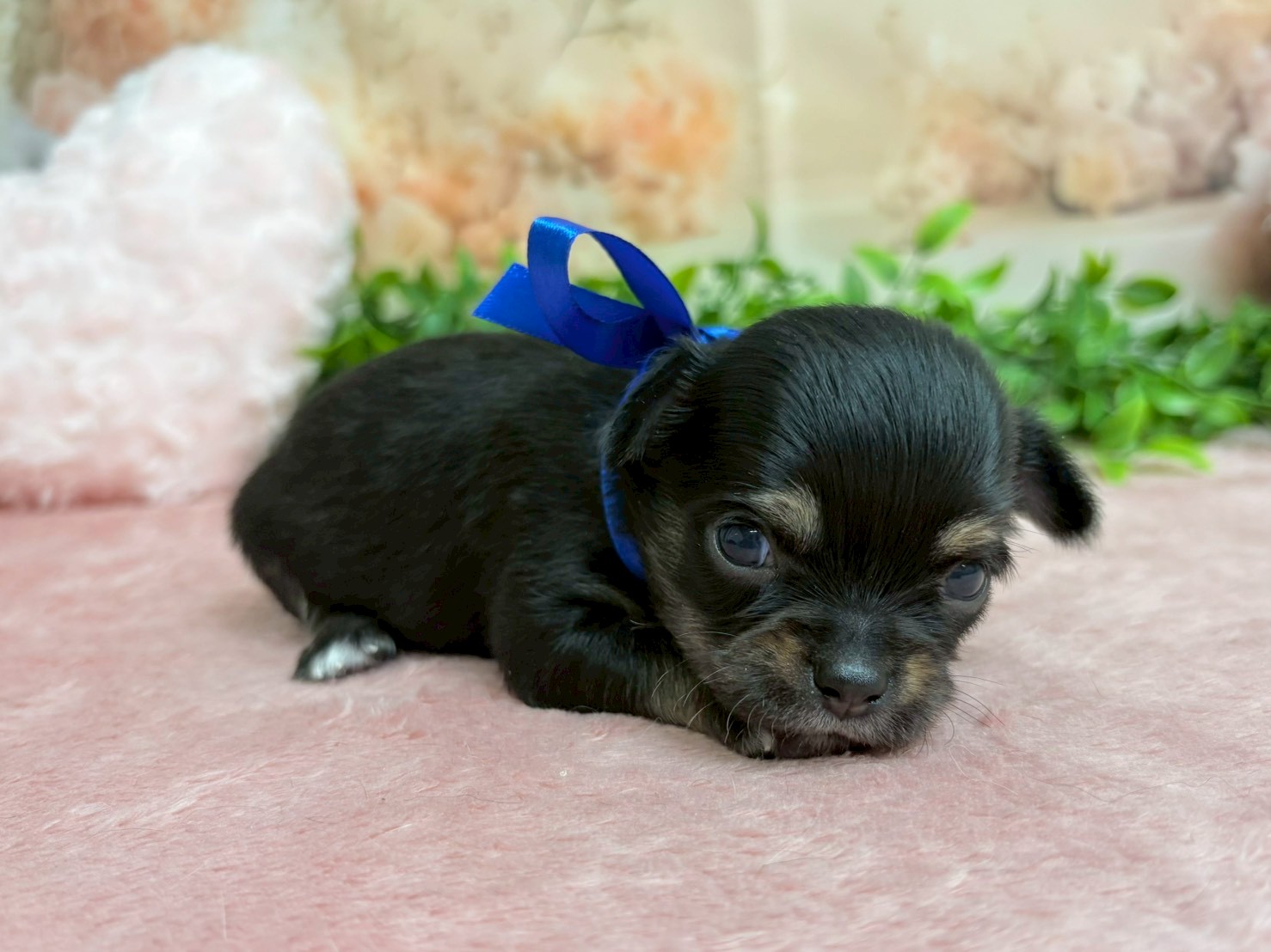 赤ちゃん写真2-2