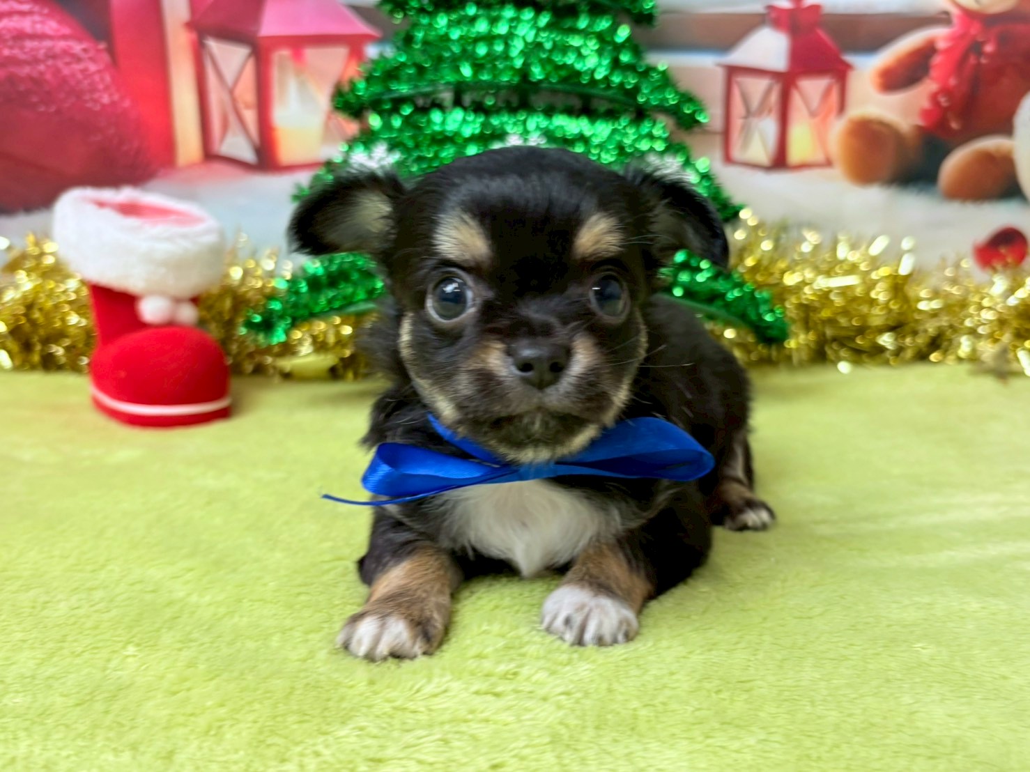 赤ちゃん写真3-1