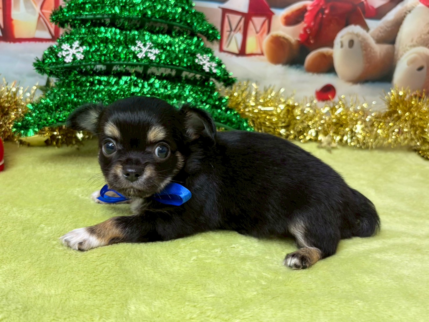 赤ちゃん写真3-2