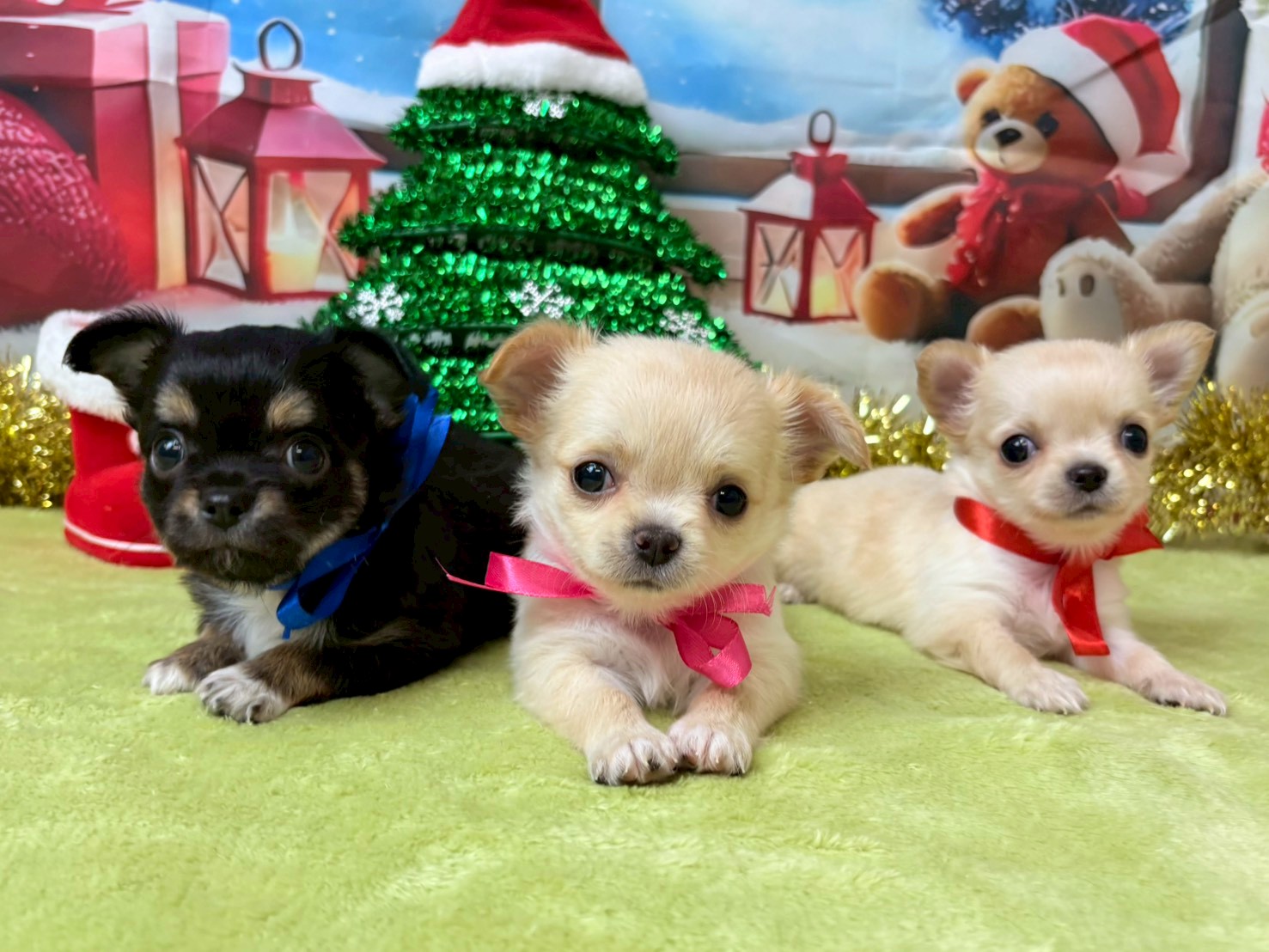 赤ちゃん写真3-3