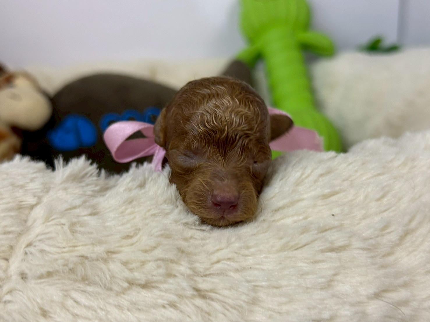 赤ちゃん写真1-1