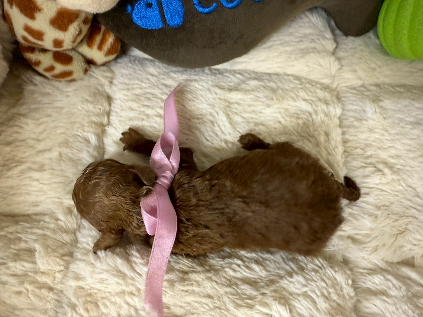 赤ちゃん写真1-3